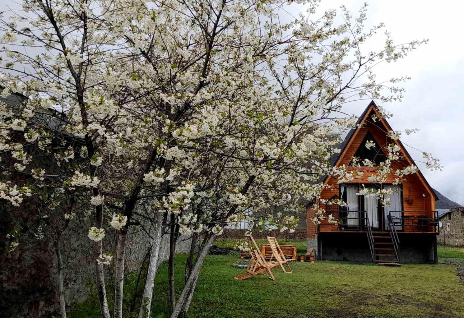 Thomas' Hut Apartment Stepantsminda Exterior photo